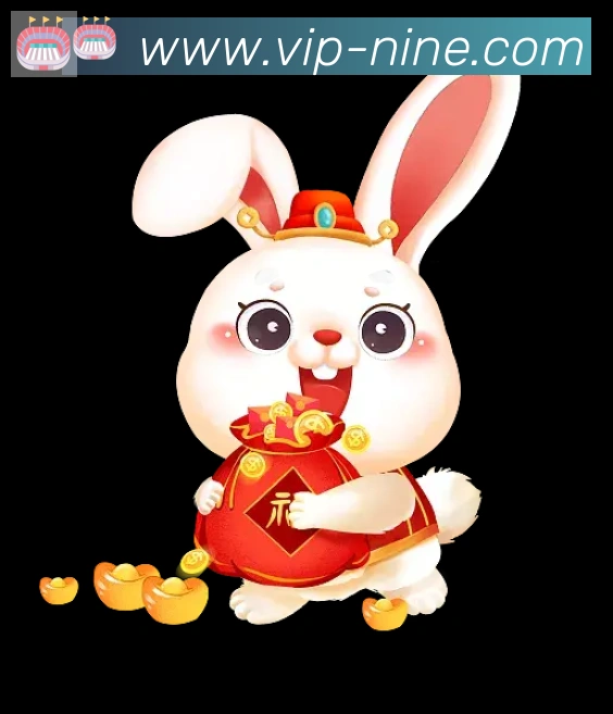 bet9体育发展历程